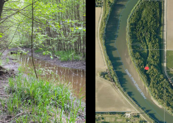 Funding arrives for salmon habitat projects | Local News