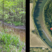 Funding arrives for salmon habitat projects | Local News