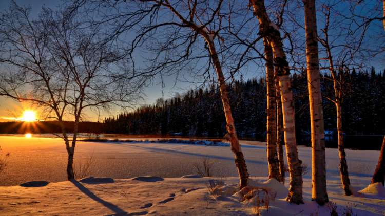 Climate Change is Warming Our Winters | News
