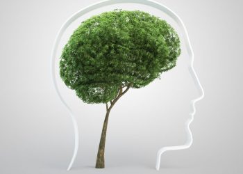 Group Interventions for Climate Change Distress