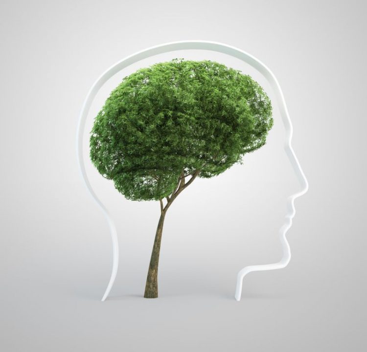Group Interventions for Climate Change Distress
