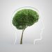 Group Interventions for Climate Change Distress