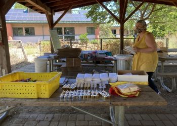 Holiday Fund: With camps shut down, Hidden Villa sends seeds, leaves and lessons to area youth | News
