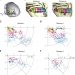 Shape perception via a high-channel-count neuroprosthesis in monkey visual cortex – Science Magazine