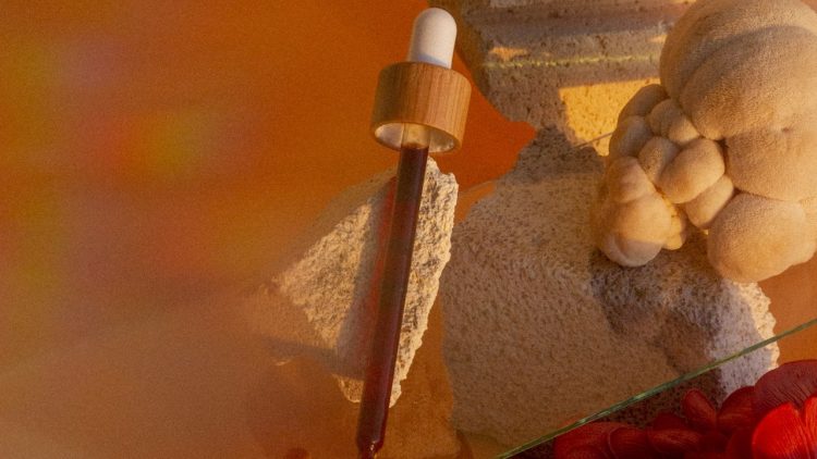 What’s next for wellness’ mushroom obsession
