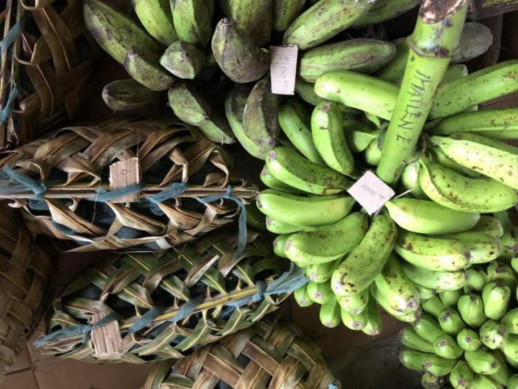 Beyond ‘community’: looking to Vanuatu for alternative entry points to adaptation