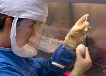 Social media platforms shape behavioral response of young people to COVID-19 outbreak