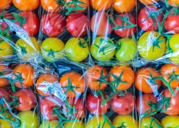 Plastics, pollution, food safety and waste: ‘These issues are interconnected’