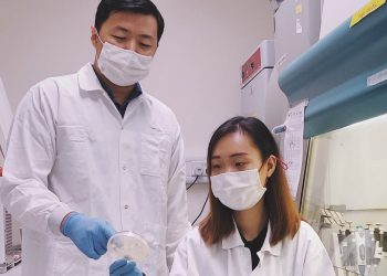 SMART researchers use lysins to selectively target bacteria | MIT News