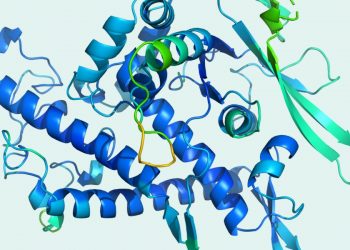Lessons from DeepMind’s breakthrough in protein-folding A.I. – Fortune