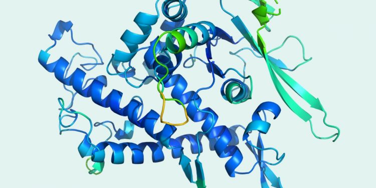 Lessons from DeepMind’s breakthrough in protein-folding A.I. – Fortune