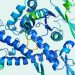 Lessons from DeepMind’s breakthrough in protein-folding A.I. – Fortune