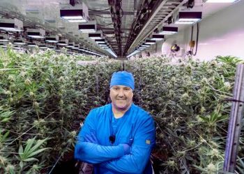 ROGER TAYLOR: N.S. cannabis grower Aqualitas recognized for quality of organic pot | Local-Business | Business