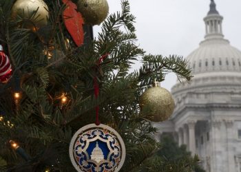 Coronavirus relief bill does not include foreign aid, arts funding