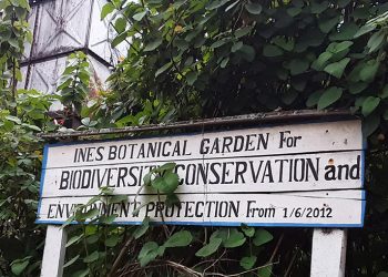 Players appeal for research institute to promote genetic resources | The New Times