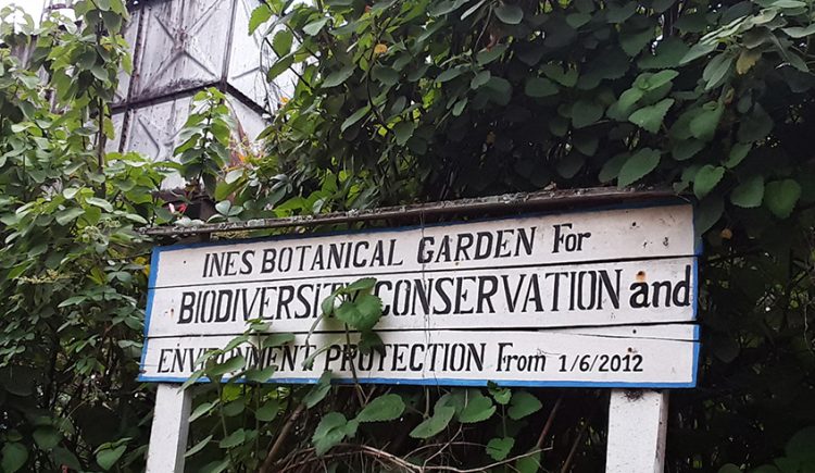 Players appeal for research institute to promote genetic resources | The New Times