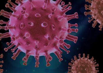 Looking ahead to 2021: Hope for life beyond COVID-19 but shaped by the pandemic