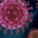 Looking ahead to 2021: Hope for life beyond COVID-19 but shaped by the pandemic