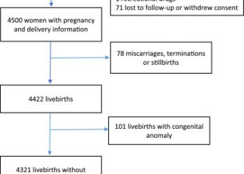 International values for haemoglobin distributions in healthy pregnant women