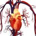 Stroke risk disparities in black and white patients related to cardiac difference, new study finds