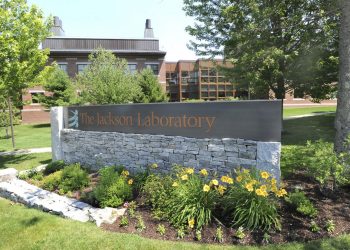 Push for COVID research drives $9.5 million funding increase for Jackson Lab