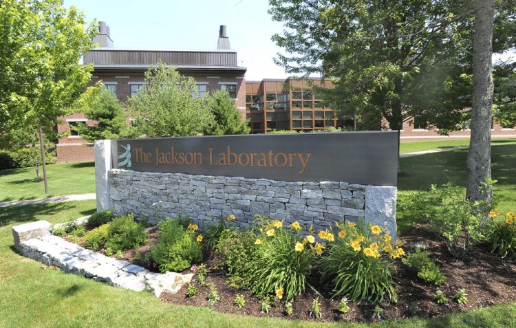 Push for COVID research drives $9.5 million funding increase for Jackson Lab