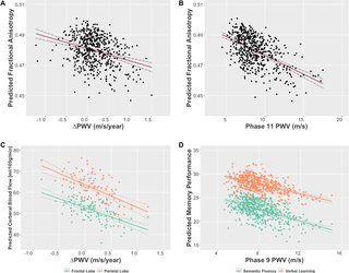 Associations between arterial stiffening and brain structure, perfusion, and cognition in the Whitehall II Imaging Sub-study: A retrospective cohort study