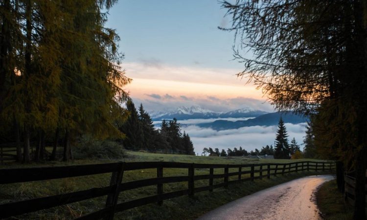 Basic Attention Token, Tezos, EOS Price Analysis: 25 December