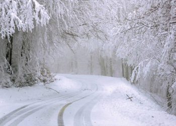December 24 – Latest News, Breaking News, Top News Headlines