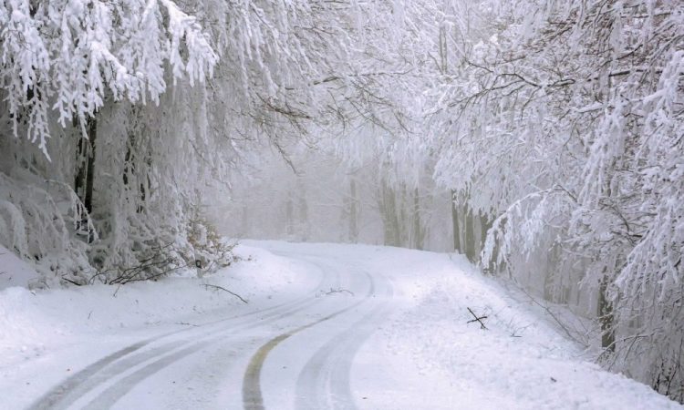 December 24 – Latest News, Breaking News, Top News Headlines