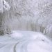 December 24 – Latest News, Breaking News, Top News Headlines