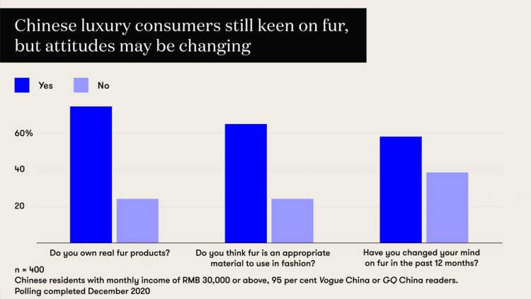 The global fur trade relies on China. Is the mood shifting?