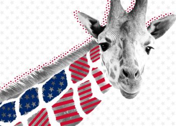 Opinion: Can the ‘moveable middle’ finally find a place in the political landscape?