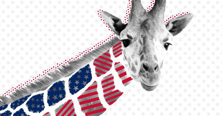 Opinion: Can the ‘moveable middle’ finally find a place in the political landscape?