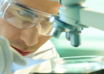 Could The Guangzhou Baiyunshan Pharmaceutical Holdings Company Limited (HKG:874) Ownership Structure Tell Us Something Useful?