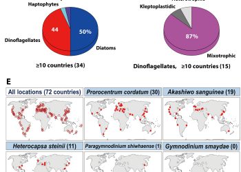 Feeding diverse prey as an excellent strategy of mixotrophic dinoflagellates for global dominance