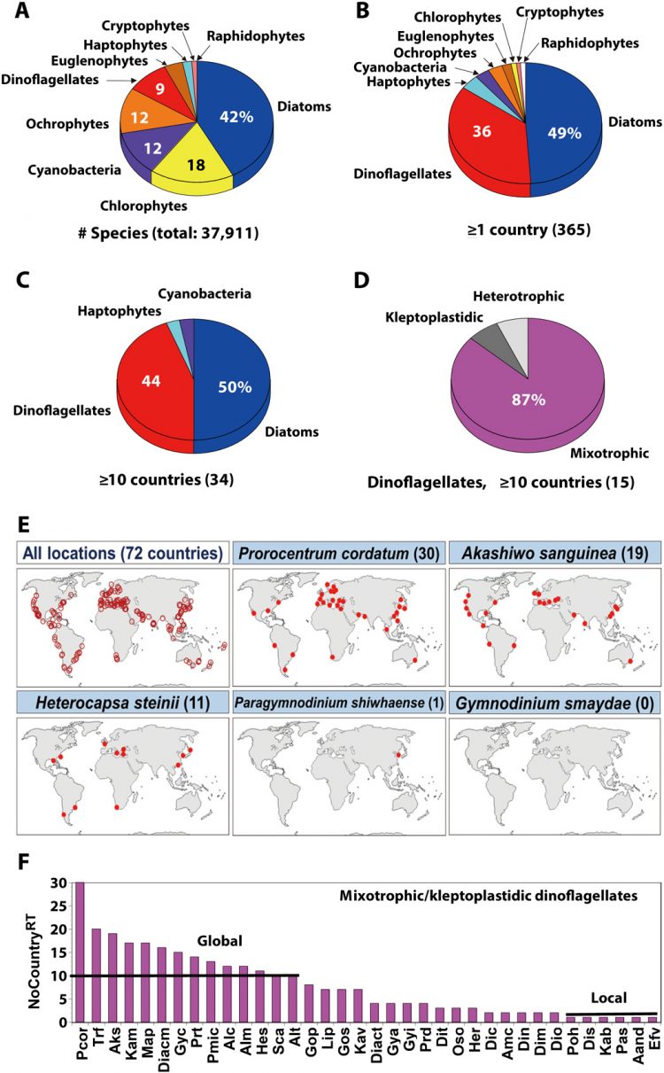 Feeding diverse prey as an excellent strategy of mixotrophic dinoflagellates for global dominance