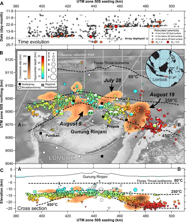 Thermal squeezing of the seismogenic zone controlled rupture of the volcano-rooted Flores Thrust