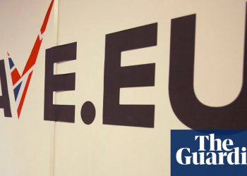 ‘Internexit’ for Leave.EU as domain name temporarily suspended | Brexit
