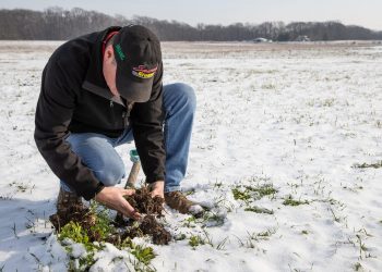 Some farmers updating methods, trying `regenerative’ farming