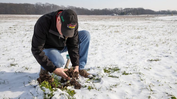 Some farmers updating methods, trying `regenerative’ farming