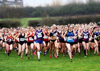 Thousands respond to cross-country gender equality survey
