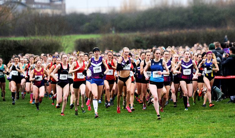 Thousands respond to cross-country gender equality survey