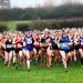 Thousands respond to cross-country gender equality survey