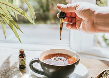 Differences and How to Choose