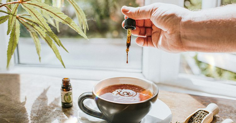 Differences and How to Choose