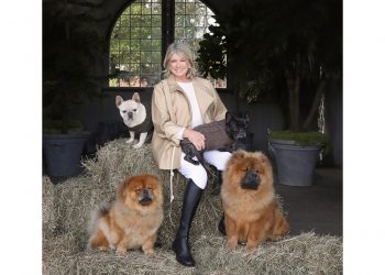 Canopy Animal Health, Martha Stewart, and Marquee Brands Launch a New Line of CBD Products for Pets