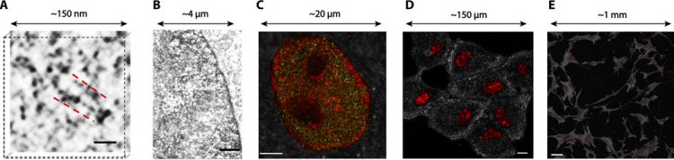 Nanoscale chromatin imaging and analysis platform bridges 4D chromatin organization with molecular function
