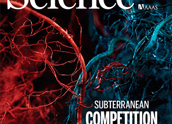 Computational social science: On measurement – Science Magazine