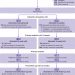 Use of proton pump inhibitors to treat persistent throat symptoms: multicentre, double blind, randomised, placebo controlled trial